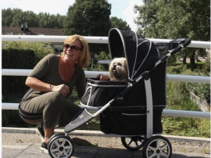 Hondenbuggy op vakantie