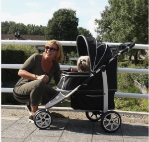 Hondenbuggy op vakantie
