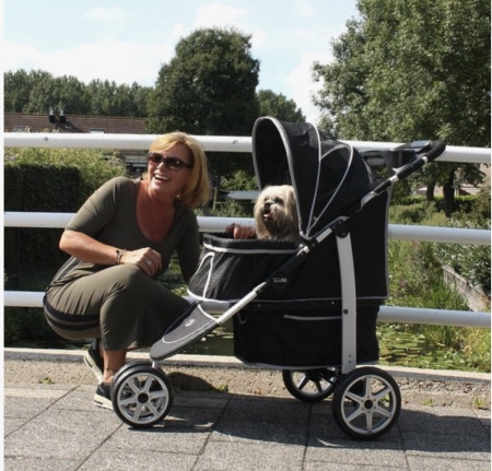 Hondenbuggy op vakantie