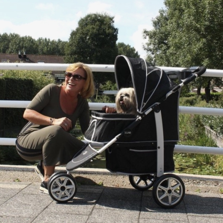 Hondenbuggy op vakantie