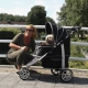 Hondenbuggy op vakantie