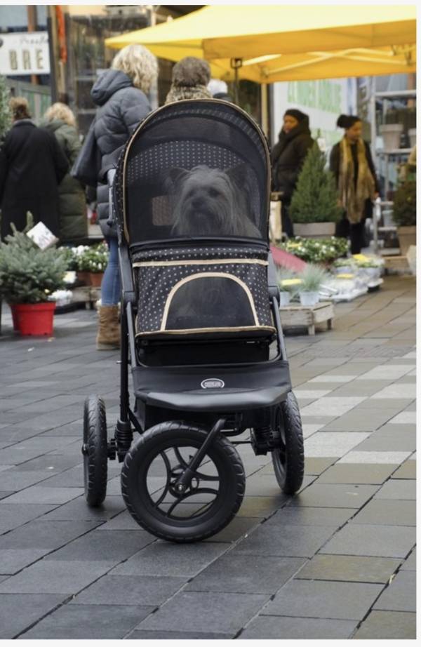 Nieuwe Innopet Aventure - Afbeelding 4