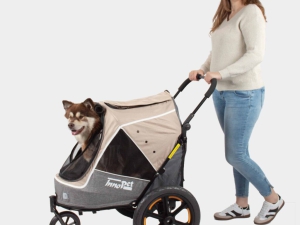 Nog keurige Innopet Sporty Evolution