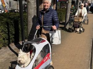 Innopet Sporty fietsbuggy